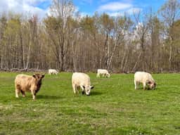 Farm Adventure | Animals + Fire Pit | Lakes Region - Image 4